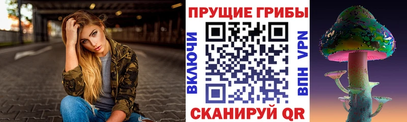 Купить где  Курск  Псилоцибиновые грибы мицелий 